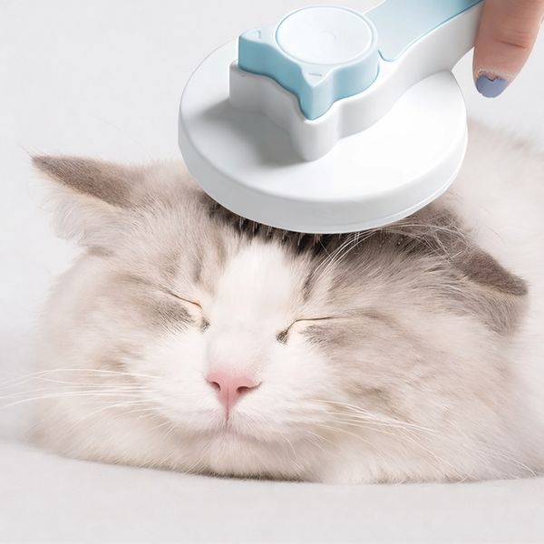 Pet Hair Removal Brush